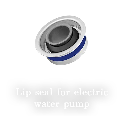 Lip seal for electric warter pump