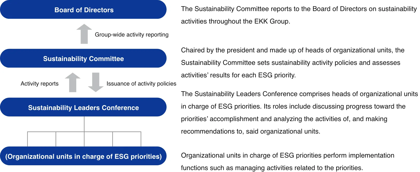 The Sustainability Committee’s Composition and Activities
