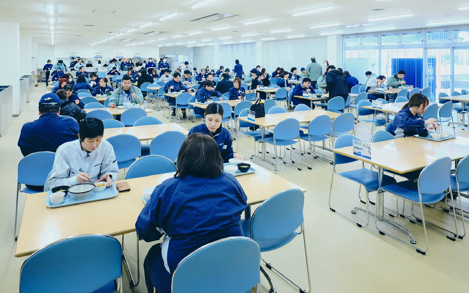 文化と環境を知る